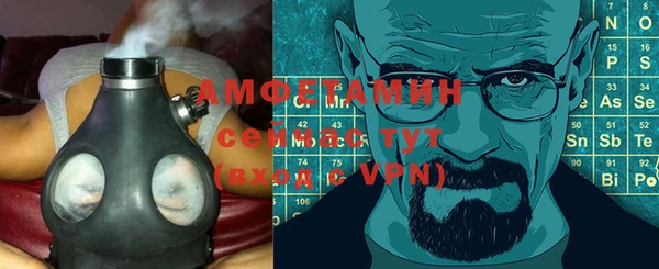 a pvp Бородино